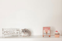 Hamster & Me Box