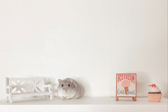 Hamster & Me Box