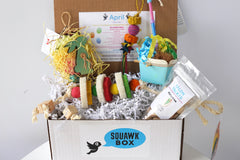 Squawk Box