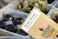 Monthly Seed Subscription