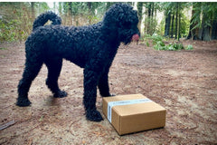 Customized premium dog subscription box, With each purchase we donate to homeless animals!- CareMebox