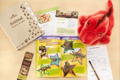 edZOOcation™ Animal Education Subscription Box by Wildlife Tree