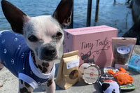 Deluxe Wag Swag Box