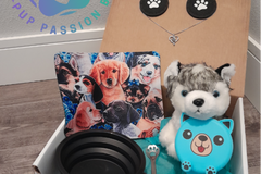 Pup Passion Box Subscription