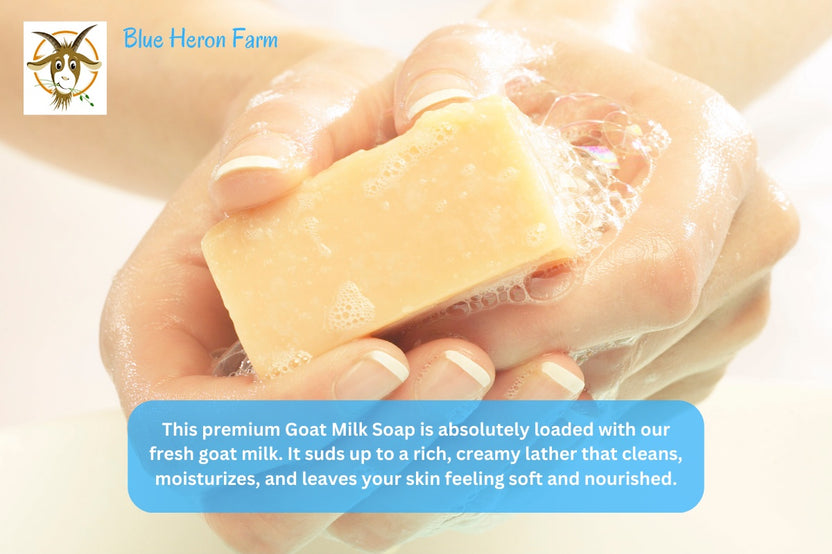 Pair of hands is shown washing, using a light tan bar of goat milk soap. Lots of creamy, rich bubbles.  