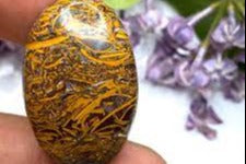Natural Stone Cabochon Collection Box