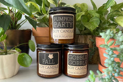 Smelly Club 9oz - Soy Candle Subscription