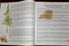 Scripture Sticker Subscription Kit for the Book of Mormon