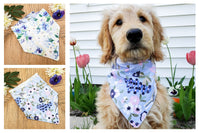 Northern By Sneed Monthly Dog Bandana Subscription