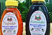 3-Pack Real Honey