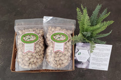 Family Farm Nut Box