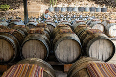 Organic Olive Oil, Vinegar & Wine Discovery