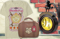 Chocolate Frogs TShirt, Harry Potter Trunk Shaped Lunch Bag, Platform 9 3/4 wall light on brick wall.