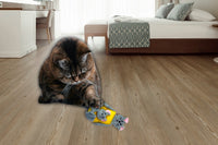 Peculiar Pet Holiday Box - Cat