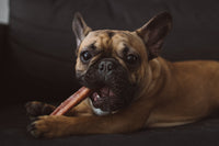 12" Bully Sticks - Bundle of 10