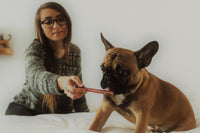 12" Bully Sticks - Bundle of 10