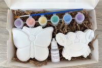Paint Your Own Bath Bomb Kit