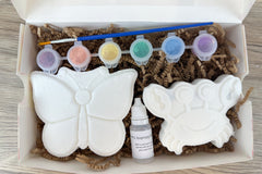 Paint Your Own Bath Bomb Kit