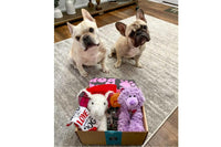 Dog Mom Box