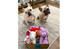Dog Mom Box