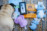 Premium Pug Box