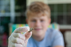 Discover, create, explore! Monthly science, crafts, and kitchen activities make learning hands-on and fun.