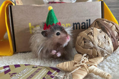 Hamster Mail