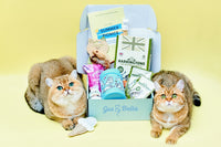 Monthly Gus & Bella Box