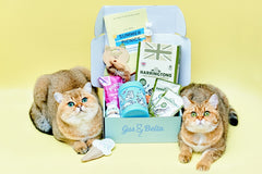 Monthly Gus & Bella Box