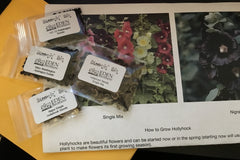 Box photo - printed instructions with seeds offered in November, Austin TX, photo credit by Stephanie Facey