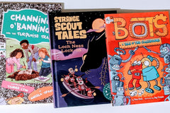 beginner chapter books for boys