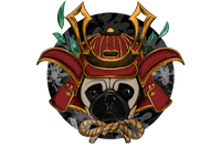 Vinny the Pug Samurai is an alter-ego graphic representation inspired by an actual photograph of Vinny.