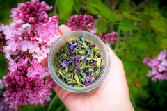 Wild Abundance Box