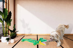 Peculiar Pet Holiday Box - Dog