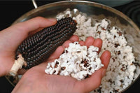 Seed Samplers