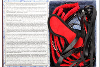 Quarterly Novel Erotics Themed Sex Toy Collection + Keepsake Storage Box