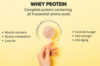 Your High Protein Smoothies