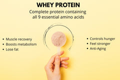 Your High Protein Smoothies