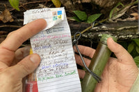 Geocache Box