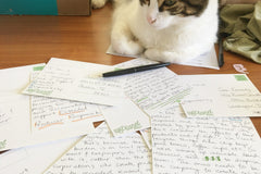 "Teacher" Planet Post Packet