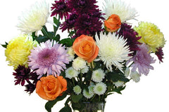 The Fresh Cut Flower of the Month Club