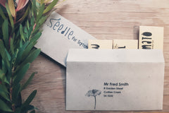 Seedle Monthly