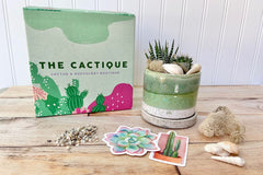 The Cactique Boutique Box