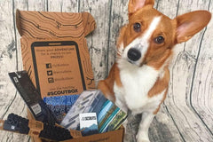 SCOUTbox - Monthly