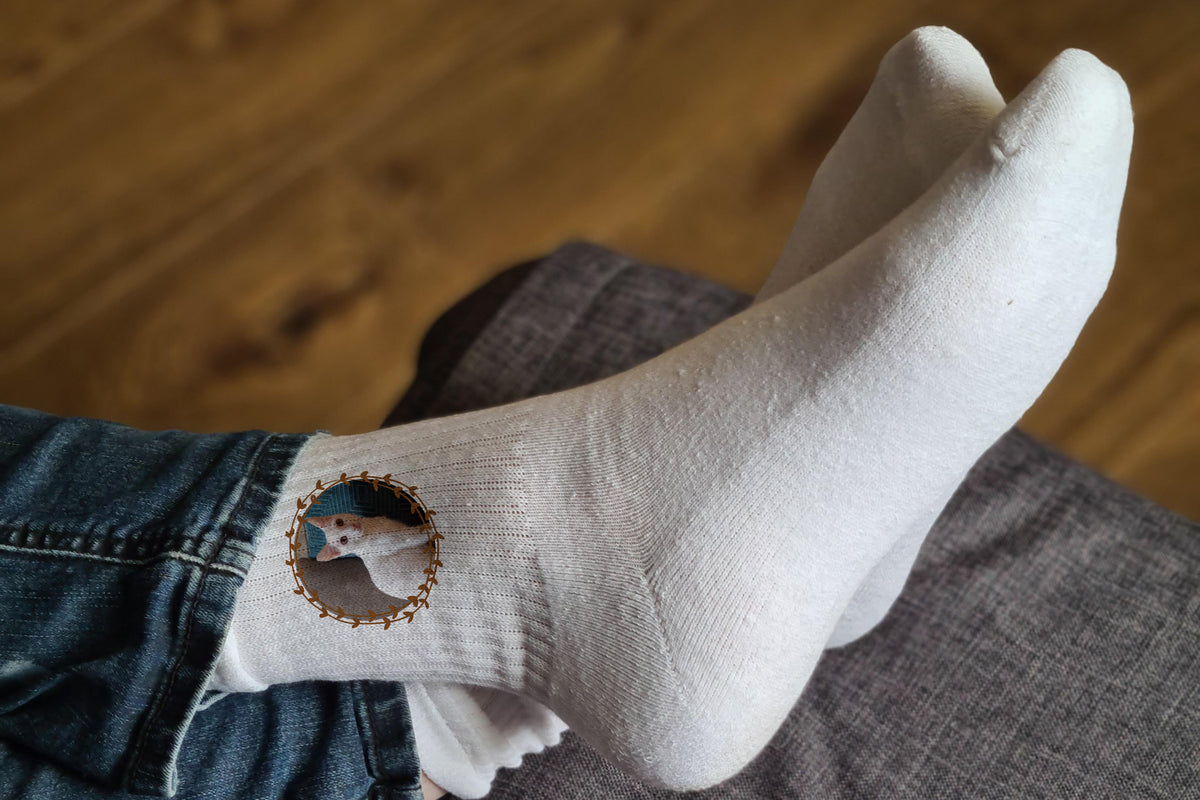 Pawsome Cat Photo Club