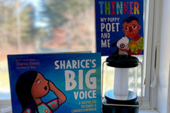 OurShelves Diverse Children's Book Boxes