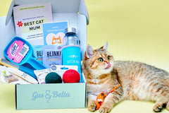 Monthly Gus & Bella Box
