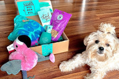 Dog Mom Box