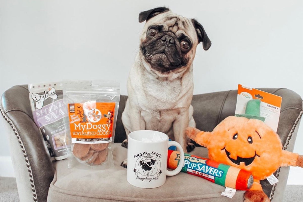 Pug Box - Cratejoy