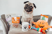Pug Box